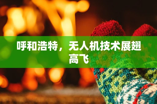 呼和浩特，无人机技术展翅高飞