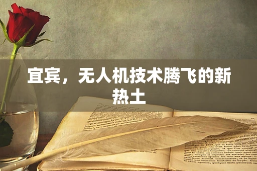 宜宾，无人机技术腾飞的新热土