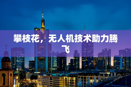 攀枝花，无人机技术助力腾飞