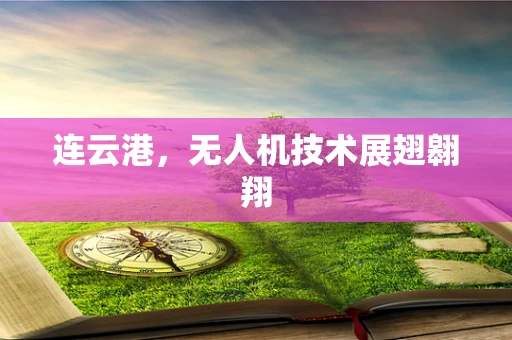 连云港，无人机技术展翅翱翔
