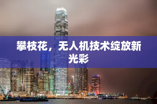 攀枝花，无人机技术绽放新光彩