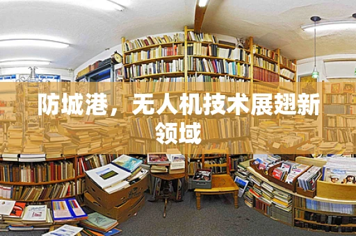 防城港，无人机技术展翅新领域
