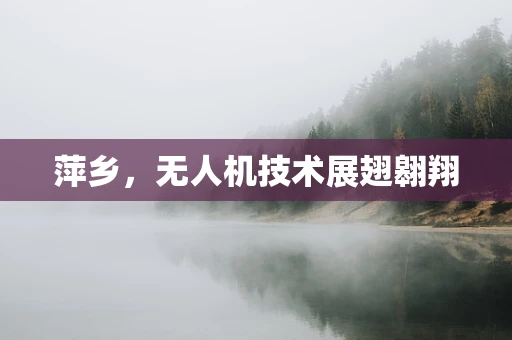萍乡，无人机技术展翅翱翔