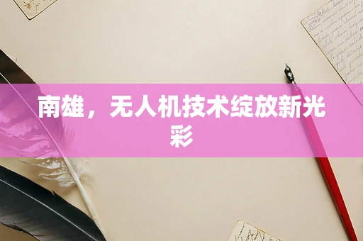 南雄，无人机技术绽放新光彩
