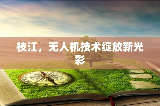 枝江，无人机技术绽放新光彩