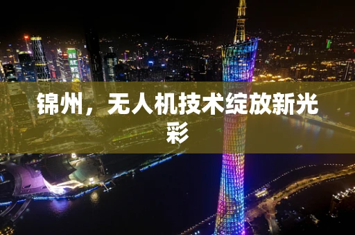 锦州，无人机技术绽放新光彩