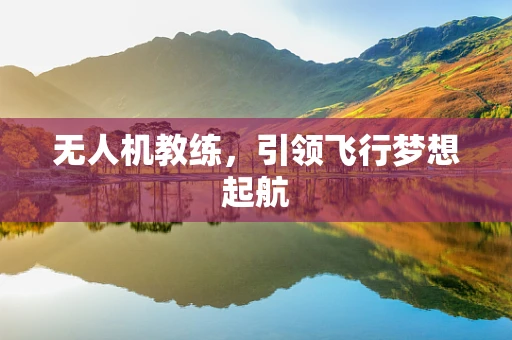 无人机教练，引领飞行梦想起航