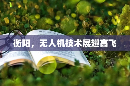 衡阳，无人机技术展翅高飞