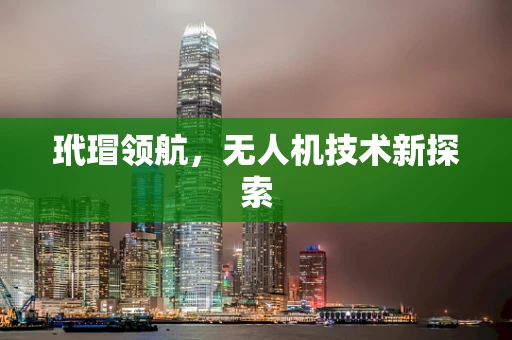 玳瑁领航，无人机技术新探索