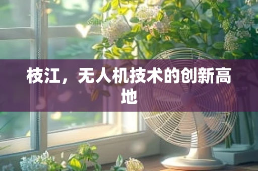 枝江，无人机技术的创新高地