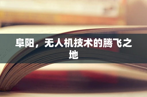 阜阳，无人机技术的腾飞之地
