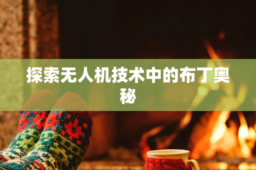 探索无人机技术中的布丁奥秘