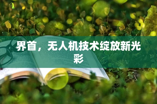 界首，无人机技术绽放新光彩