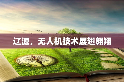 辽源，无人机技术展翅翱翔