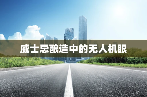 威士忌酿造中的无人机眼