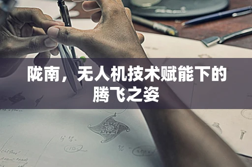陇南，无人机技术赋能下的腾飞之姿
