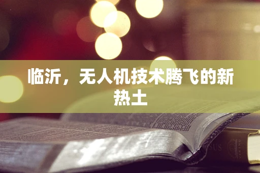 临沂，无人机技术腾飞的新热土