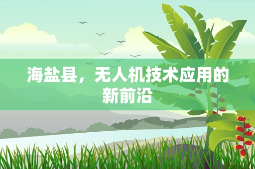 海盐县，无人机技术应用的新前沿