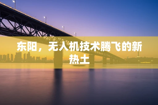 东阳，无人机技术腾飞的新热土