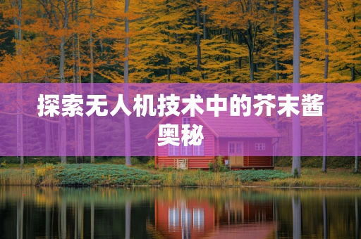 探索无人机技术中的芥末酱奥秘