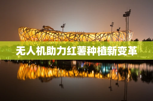无人机助力红薯种植新变革
