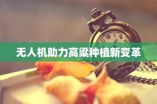 无人机助力高粱种植新变革