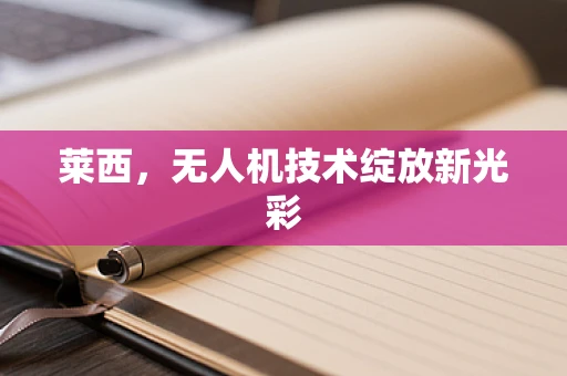 莱西，无人机技术绽放新光彩
