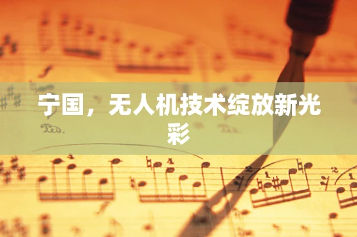 宁国，无人机技术绽放新光彩