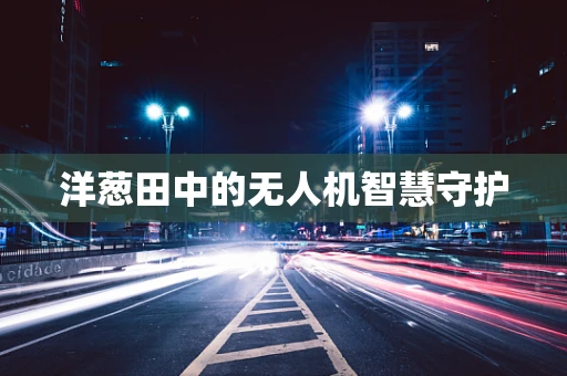 洋葱田中的无人机智慧守护