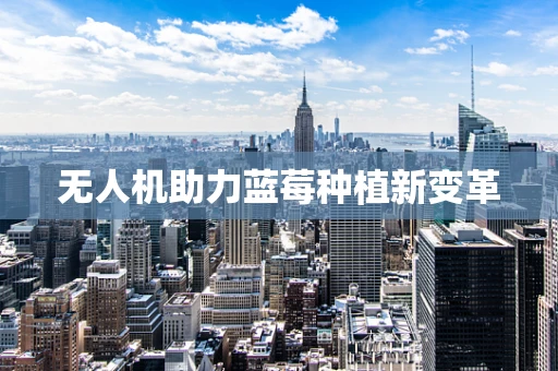 无人机助力蓝莓种植新变革
