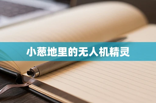 小葱地里的无人机精灵