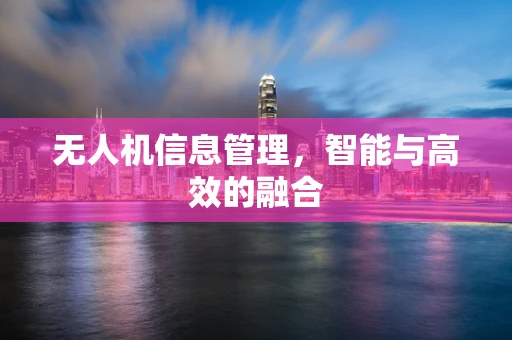 无人机信息管理，智能与高效的融合