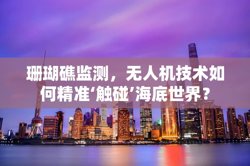 珊瑚礁监测，无人机技术如何精准‘触碰’海底世界？