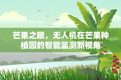 芒果之眼，无人机在芒果种植园的智能监测新视角