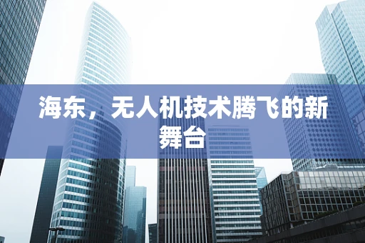 海东，无人机技术腾飞的新舞台