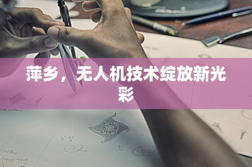 萍乡，无人机技术绽放新光彩