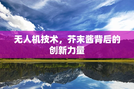 无人机技术，芥末酱背后的创新力量