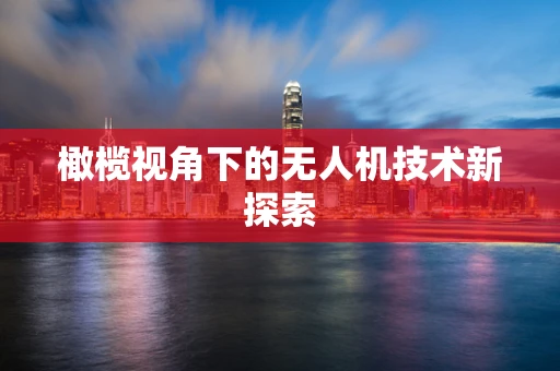 橄榄视角下的无人机技术新探索