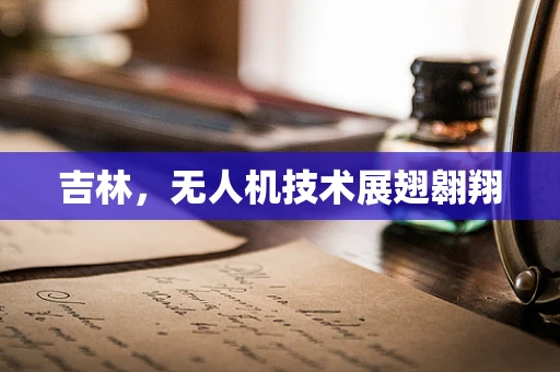 吉林，无人机技术展翅翱翔
