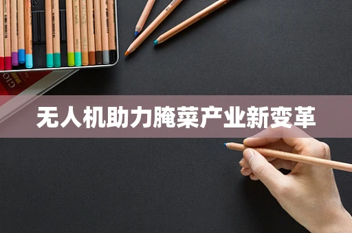 无人机助力腌菜产业新变革