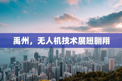 禹州，无人机技术展翅翱翔