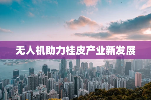 无人机助力桂皮产业新发展
