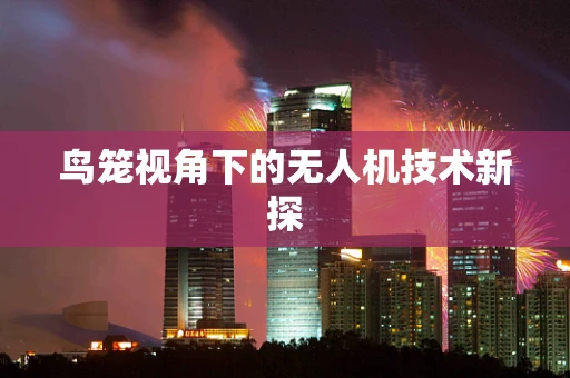 鸟笼视角下的无人机技术新探