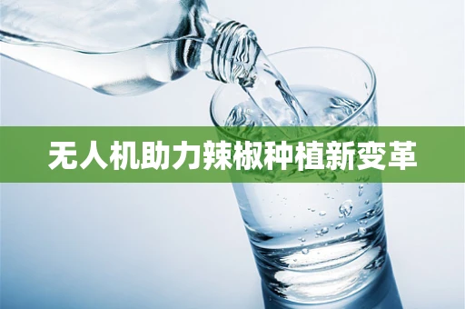 无人机助力辣椒种植新变革