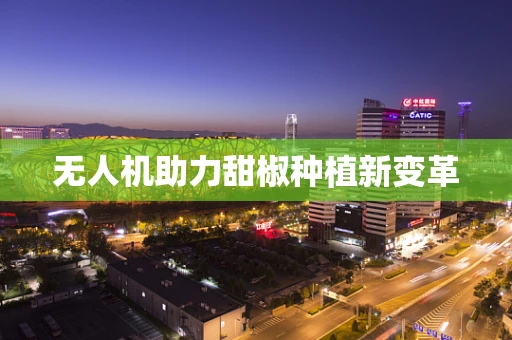 无人机助力甜椒种植新变革