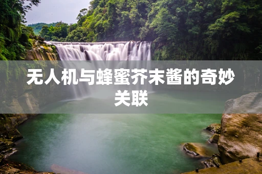 无人机与蜂蜜芥末酱的奇妙关联