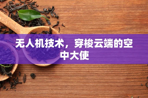 无人机技术，穿梭云端的空中大使