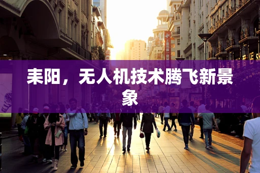 耒阳，无人机技术腾飞新景象