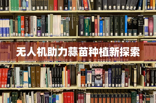无人机助力蒜苗种植新探索