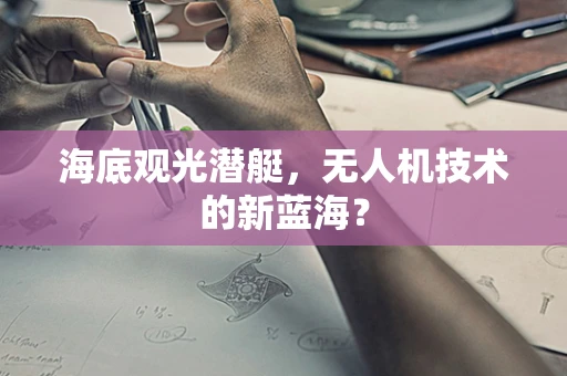 海底观光潜艇，无人机技术的新蓝海？
